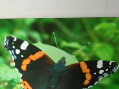 -上海昆虫博物馆