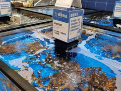 -盒马X会员店(王府井奥莱UP TOWN店)