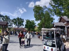 -上海野生动物园老虎餐厅