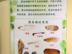 -上海昆虫博物馆
