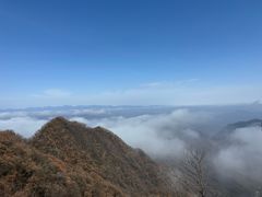 -栾川竹海野生动物园