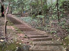 -上海佘山国家森林公园天马山园