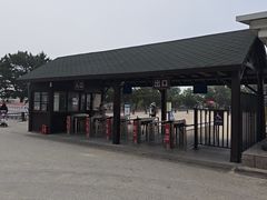 -日照海滨国家森林公园