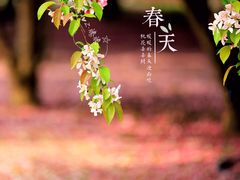 -陶然亭公园