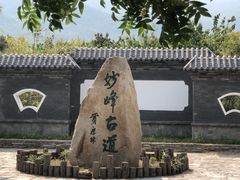 -阳台山自然风景区