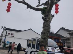 -溪口-滕头旅游景区