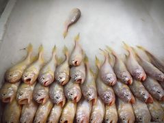-辉记虾塘海鲜农庄