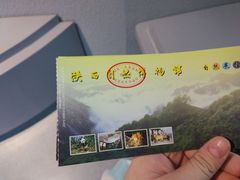 -陕西自然博物馆