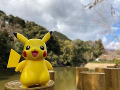 -常寂光寺
