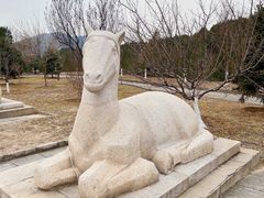 -北京十三陵国家森林公园蟒山景区