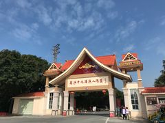 -大湾区中央湿地公园-十九涌
