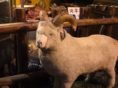 -霄汉羊排(万松园一店)