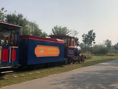 -永定河休闲森林公园