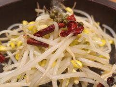 -云海肴·汽锅鸡·云南代表菜(东坝金隅店)