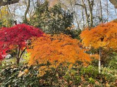 -杭州香格里拉·香宫中餐厅