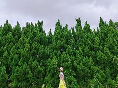 -南沙蒲洲花园