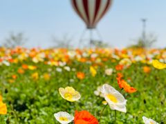 -歌斐颂巧克力小镇