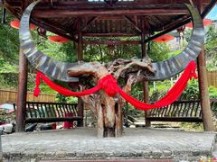 -金子山原生态旅游风景区
