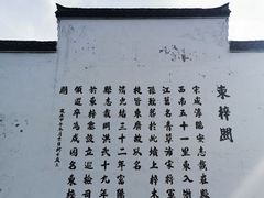 -东梓关景区村庄