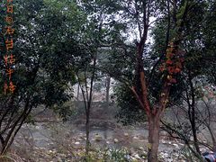 -祁门牯牛降观音堂风景区