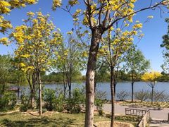 -东郊湿地公园