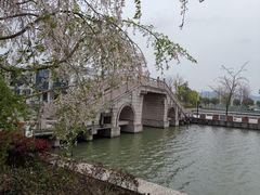 -湘湖金融镇