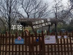 -西安秦岭野生动物园