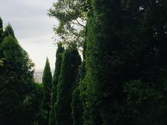 -青龙山公园