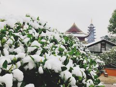 -灵岩山风景区