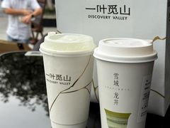 -一叶觅山(半边街店)