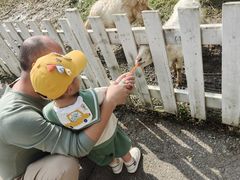 -前小桔亲子创意农场·草莓采摘·露营烧烤