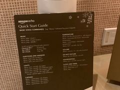 -拉斯维加斯永利酒店