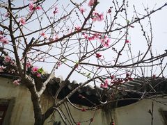 -盛世南宫影视城(北普陀影视城)