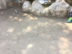 -昆明动物园