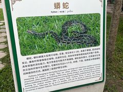 -野象谷景区