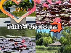 -新虹桥中心花园
