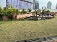 -香港大学
