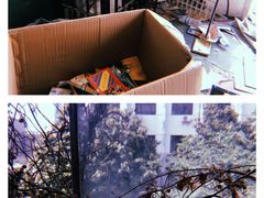 -济南轻骑摩托车有限公司(和平路)