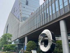 -金沙湖公园