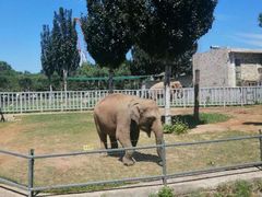 -石家庄市动物园