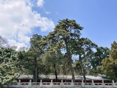 -潭柘寺景区