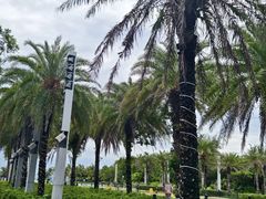 -后海村
