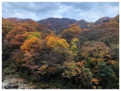 -光雾山旅游景区
