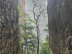 -雁荡山风景名胜区