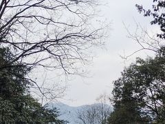 -碧峰峡风景区