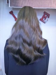 点击看大图 -SALON V