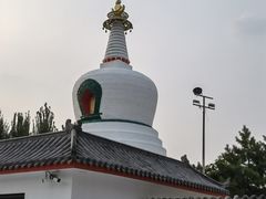 -西塔