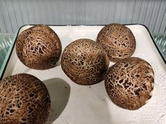 -老苏州大客堂·苏帮菜·松鼠桂鱼·苏州传统小吃(观前街人民商场店)