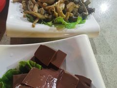 -墨脱石锅椰子鸡•香草鸭•东山羊(大东海店)