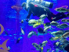 -沈阳海洋探索中心